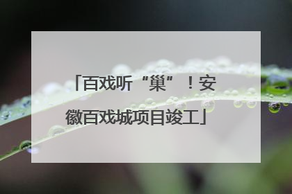 百戏听“巢”！安徽百戏城项目竣工
