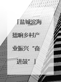盐城滨海擂响乡村产业振兴“奋进鼓”