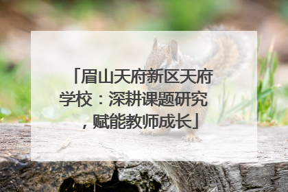 眉山天府新区天府学校：深耕课题研究，赋能教师成长