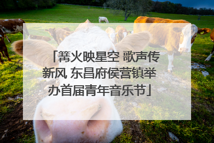篝火映星空 歌声传新风 东昌府侯营镇举办首届青年音乐节