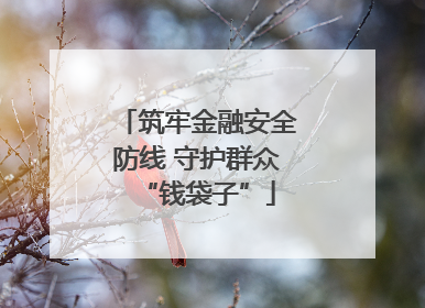 筑牢金融安全防线 守护群众“钱袋子”