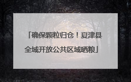 确保颗粒归仓！夏津县全域开放公共区域晒粮