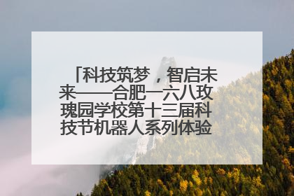 科技筑梦，智启未来——合肥一六八玫瑰园学校第十三届科技节机器人系列体验赛燃动校园