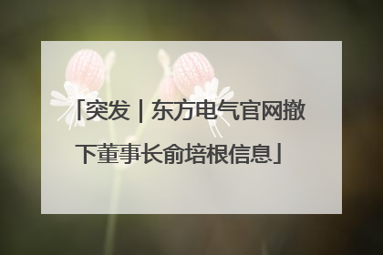 突发｜东方电气官网撤下董事长俞培根信息