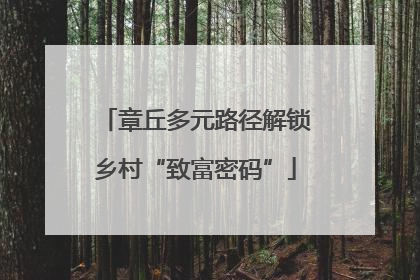 章丘多元路径解锁乡村“致富密码”