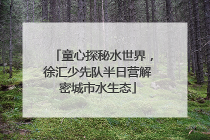童心探秘水世界，徐汇少先队半日营解密城市水生态