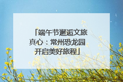 端午节邂逅文旅真心：常州恐龙园开启美好旅程
