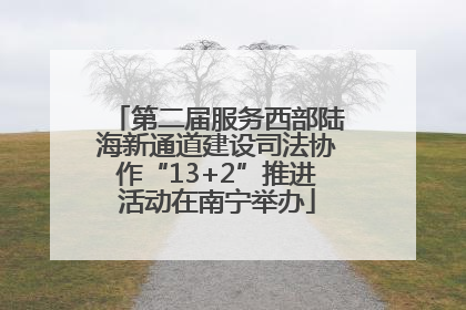 第二届服务西部陆海新通道建设司法协作“13+2”推进活动在南宁举办