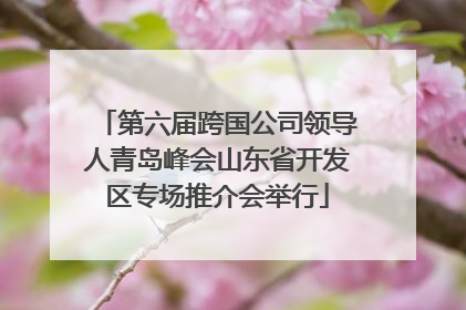 第六届跨国公司领导人青岛峰会山东省开发区专场推介会举行
