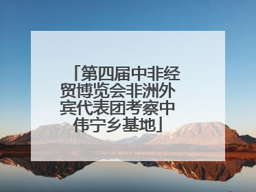 第四届中非经贸博览会非洲外宾代表团考察中伟宁乡基地