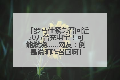 罗马仕紧急召回近50万台充电宝！可能燃烧……网友：倒是说明咋召回啊
