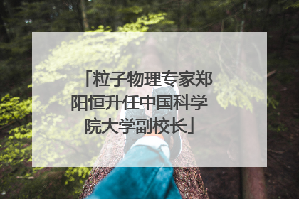 粒子物理专家郑阳恒升任中国科学院大学副校长