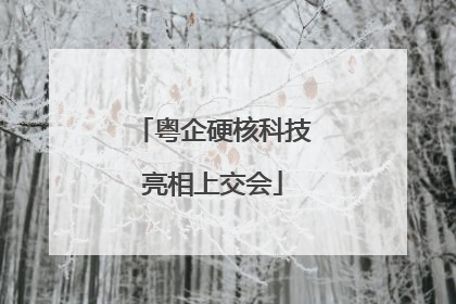 粤企硬核科技亮相上交会