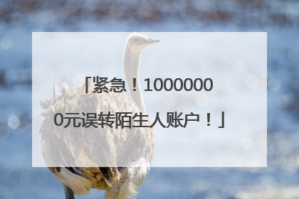 紧急！10000000元误转陌生人账户！