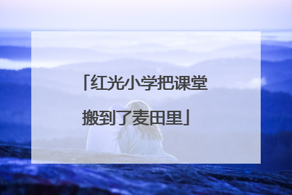 红光小学把课堂搬到了麦田里