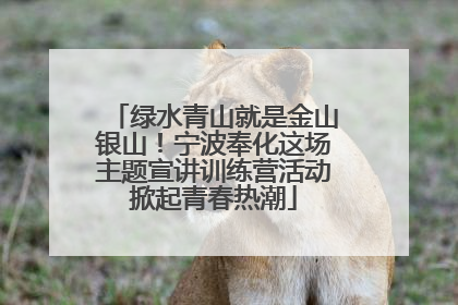 绿水青山就是金山银山！宁波奉化这场主题宣讲训练营活动掀起青春热潮