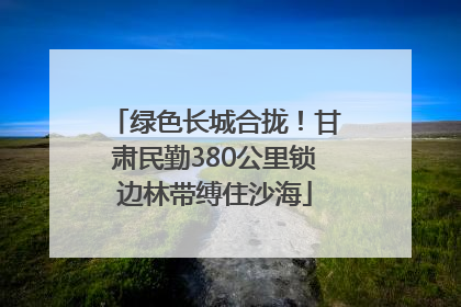 绿色长城合拢！甘肃民勤380公里锁边林带缚住沙海
