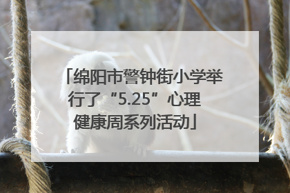 绵阳市警钟街小学举行了“5.25”心理健康周系列活动