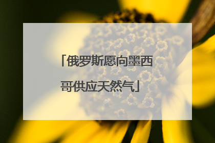 俄罗斯愿向墨西哥供应天然气