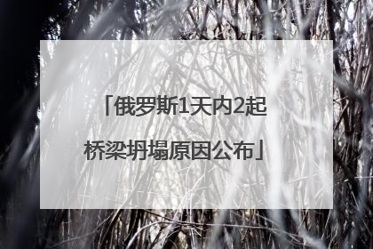 俄罗斯1天内2起桥梁坍塌原因公布