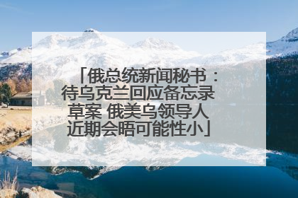 俄总统新闻秘书：待乌克兰回应备忘录草案 俄美乌领导人近期会晤可能性小