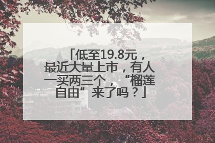 低至19.8元，最近大量上市，有人一买两三个，“榴莲自由”来了吗？