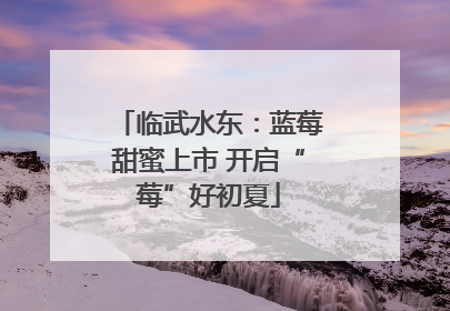 临武水东：蓝莓甜蜜上市 开启“莓”好初夏