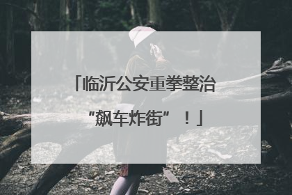 临沂公安重拳整治“飙车炸街”！