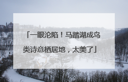 一眼沦陷！马踏湖成鸟类诗意栖居地，太美了