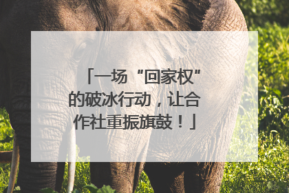 一场“回家权”的破冰行动，让合作社重振旗鼓！