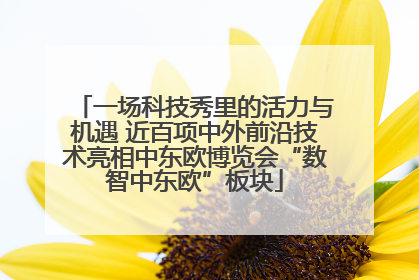 一场科技秀里的活力与机遇 近百项中外前沿技术亮相中东欧博览会“数智中东欧”板块