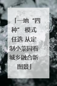 一地“四种” 模式任选 从定制小菜园看城乡融合新图景