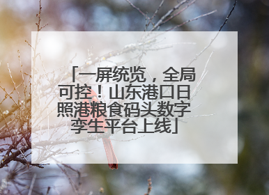 一屏统览，全局可控！山东港口日照港粮食码头数字孪生平台上线