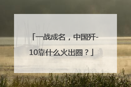 一战成名，中国歼-10靠什么火出圈？