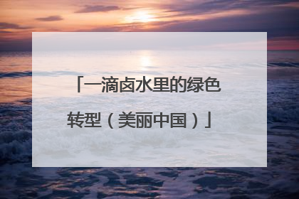 一滴卤水里的绿色转型（美丽中国）