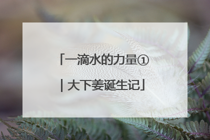 一滴水的力量①｜大下姜诞生记