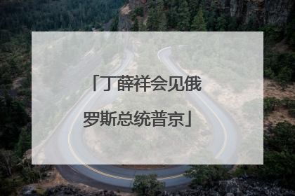 丁薛祥会见俄罗斯总统普京