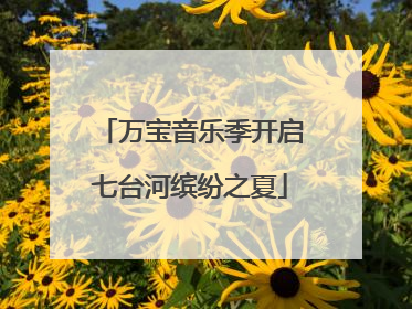 万宝音乐季开启七台河缤纷之夏