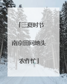 三夏时节 南京田间地头农作忙