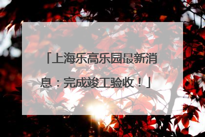 上海乐高乐园最新消息：完成竣工验收！