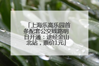 上海乐高乐园首条配套公交线路明日开通：途经金山北站，票价1元