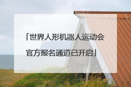 世界人形机器人运动会官方报名通道已开启