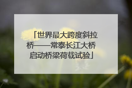 世界最大跨度斜拉桥——常泰长江大桥启动桥梁荷载试验