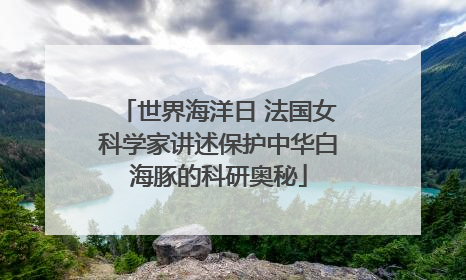 世界海洋日 法国女科学家讲述保护中华白海豚的科研奥秘
