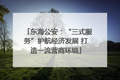 东海公安：“三式服务”护航经济发展 打造一流营商环境
