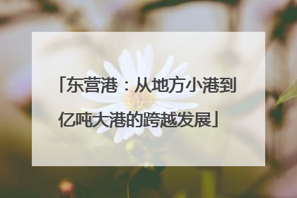 东营港：从地方小港到亿吨大港的跨越发展