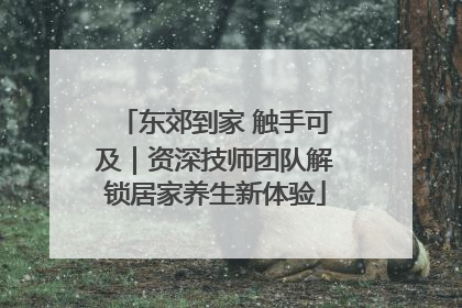 东郊到家 触手可及｜资深技师团队解锁居家养生新体验