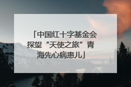 中国红十字基金会探望“天使之旅”青海先心病患儿