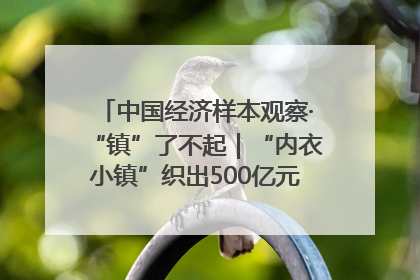 中国经济样本观察·“镇”了不起｜“内衣小镇”织出500亿元“里子产业”