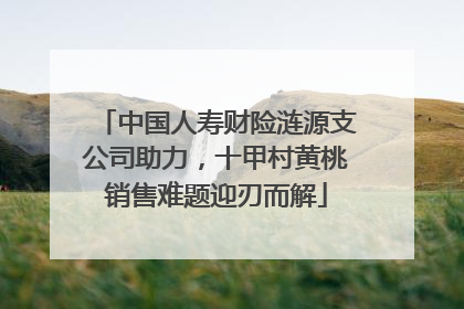 中国人寿财险涟源支公司助力，十甲村黄桃销售难题迎刃而解
